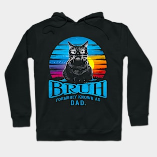 Cat Dad Men Father's Day Design Birthday Best Vintage kitten lover Hoodie